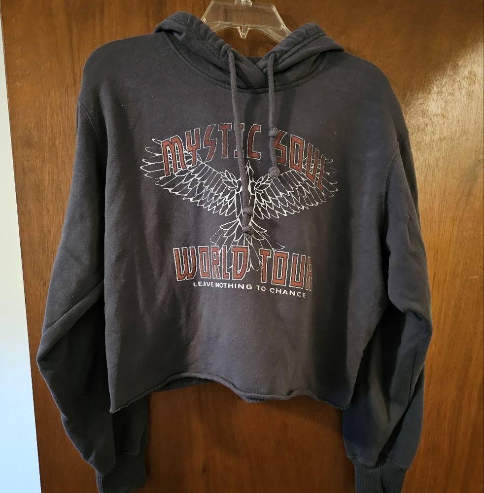 Hollister cropped hoodie